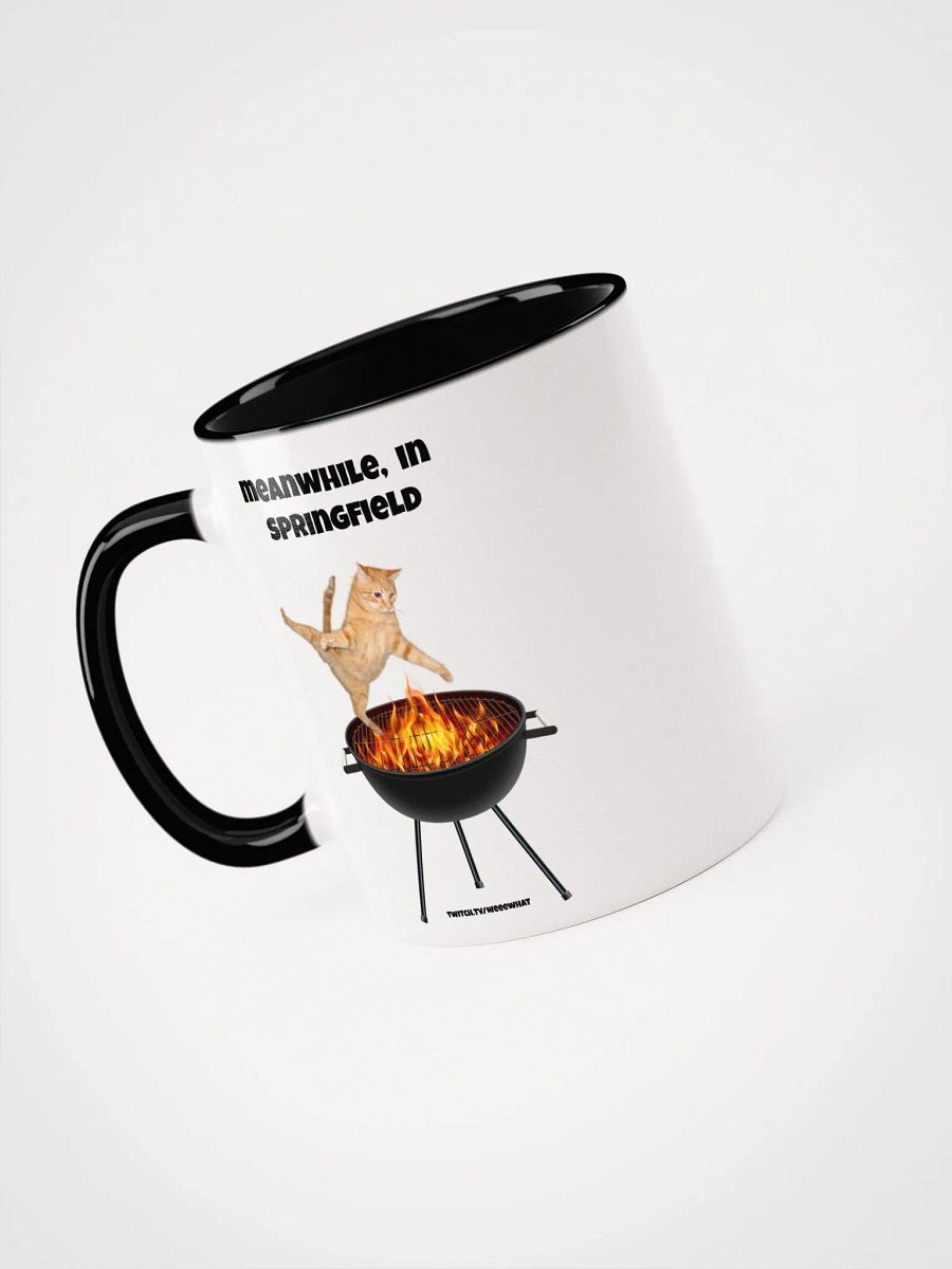 Meanwhile in Ohio product image (26)