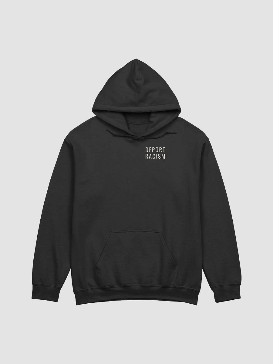 Back to Your Continent Hoodie product image (2)