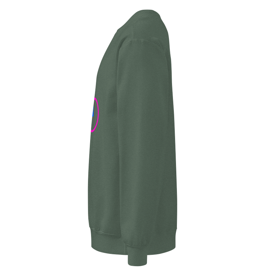 The Nature Of Two Genders Symbolic Sweatshirt product image (3)