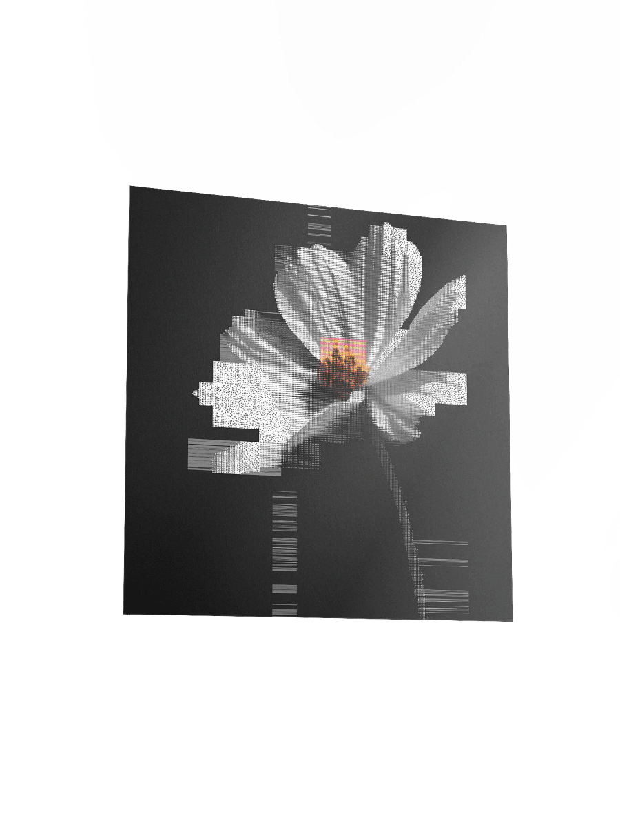Flora.exe product image (14)