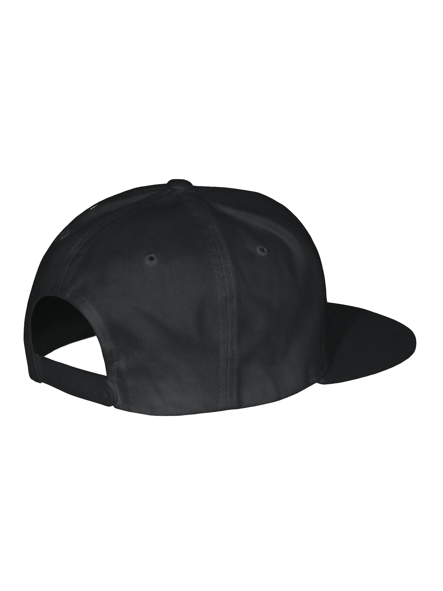 #blameagro Snapback Cap product image (3)