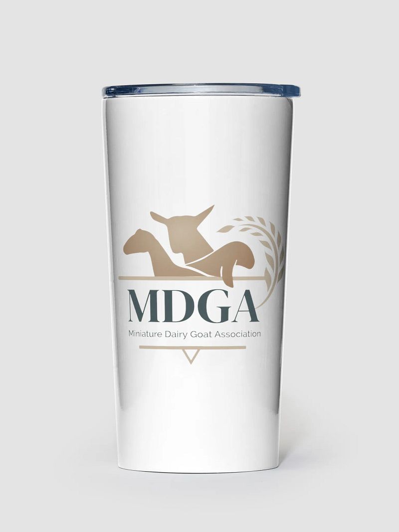 20oz Stainless Steel Tumbler