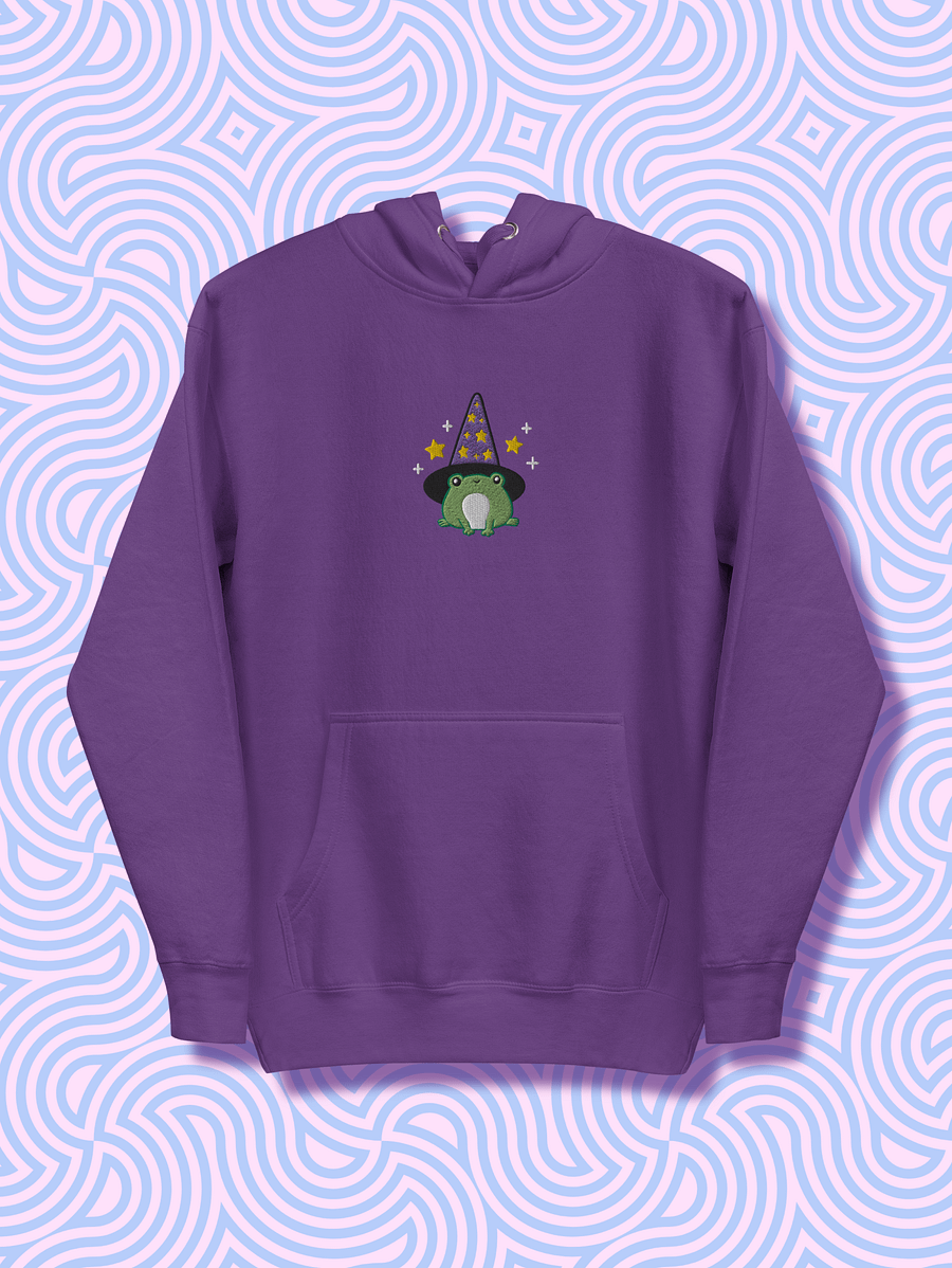 Enchanted Frog Wizard Embroidered Unisex Hoodie product image (2)
