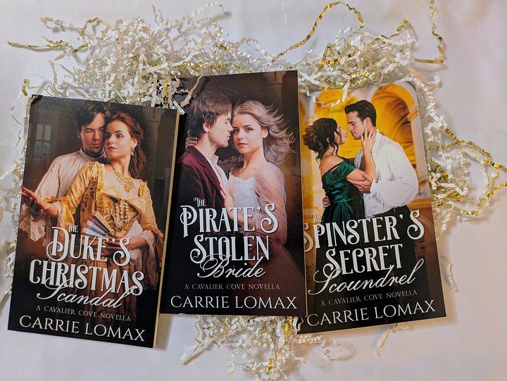 Cavalier Cove Novella Mini Book Box product image (1)