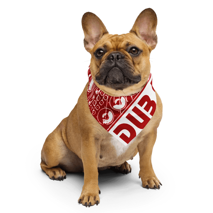 Dub Mission All-Over Print Bandana product image (1)