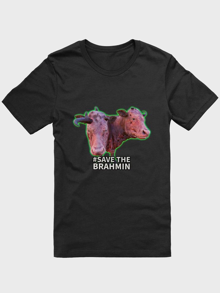 #save the brahmin product image (4)