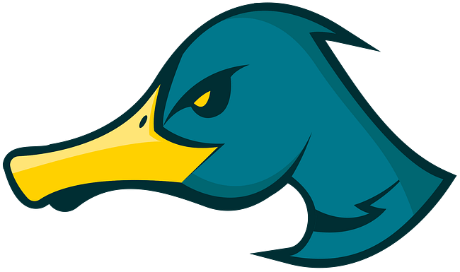 Ducks