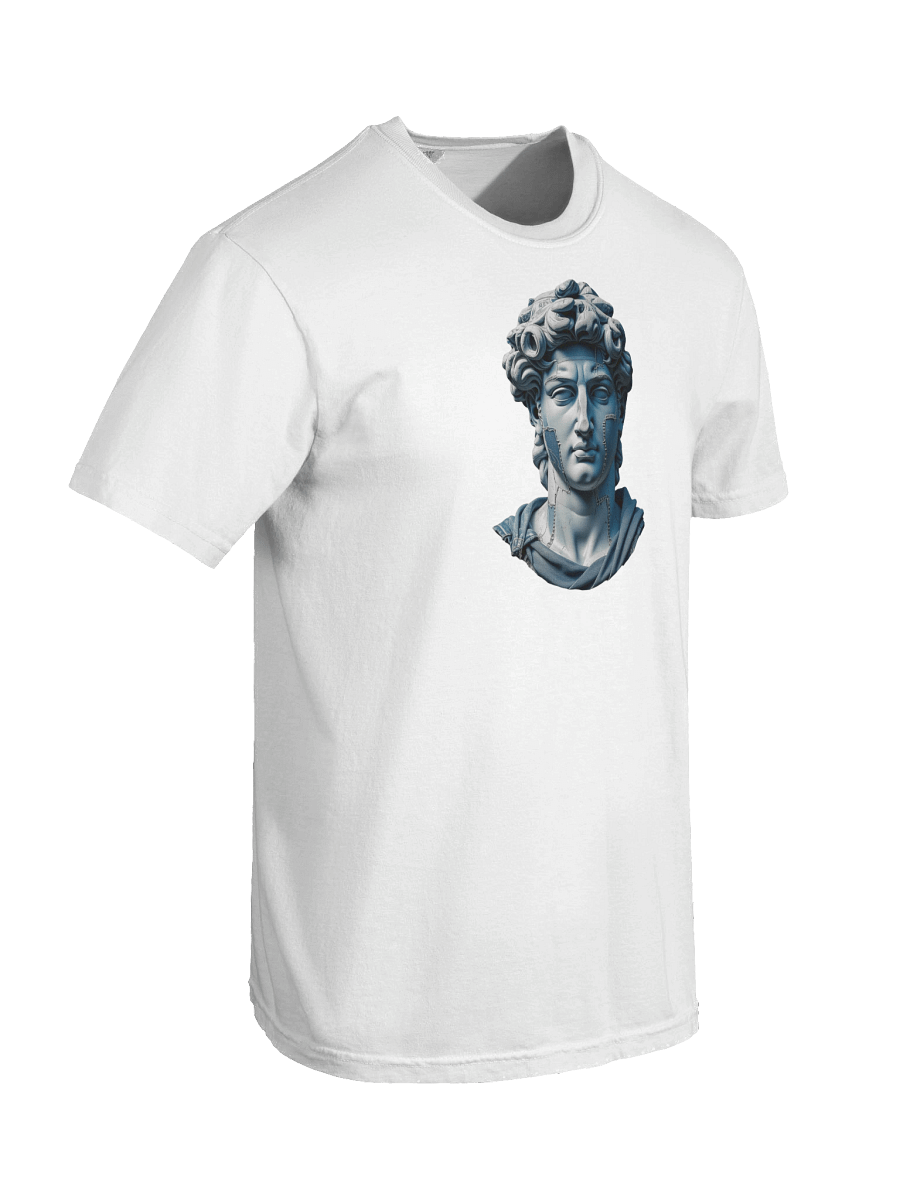The Statue series product image (135)