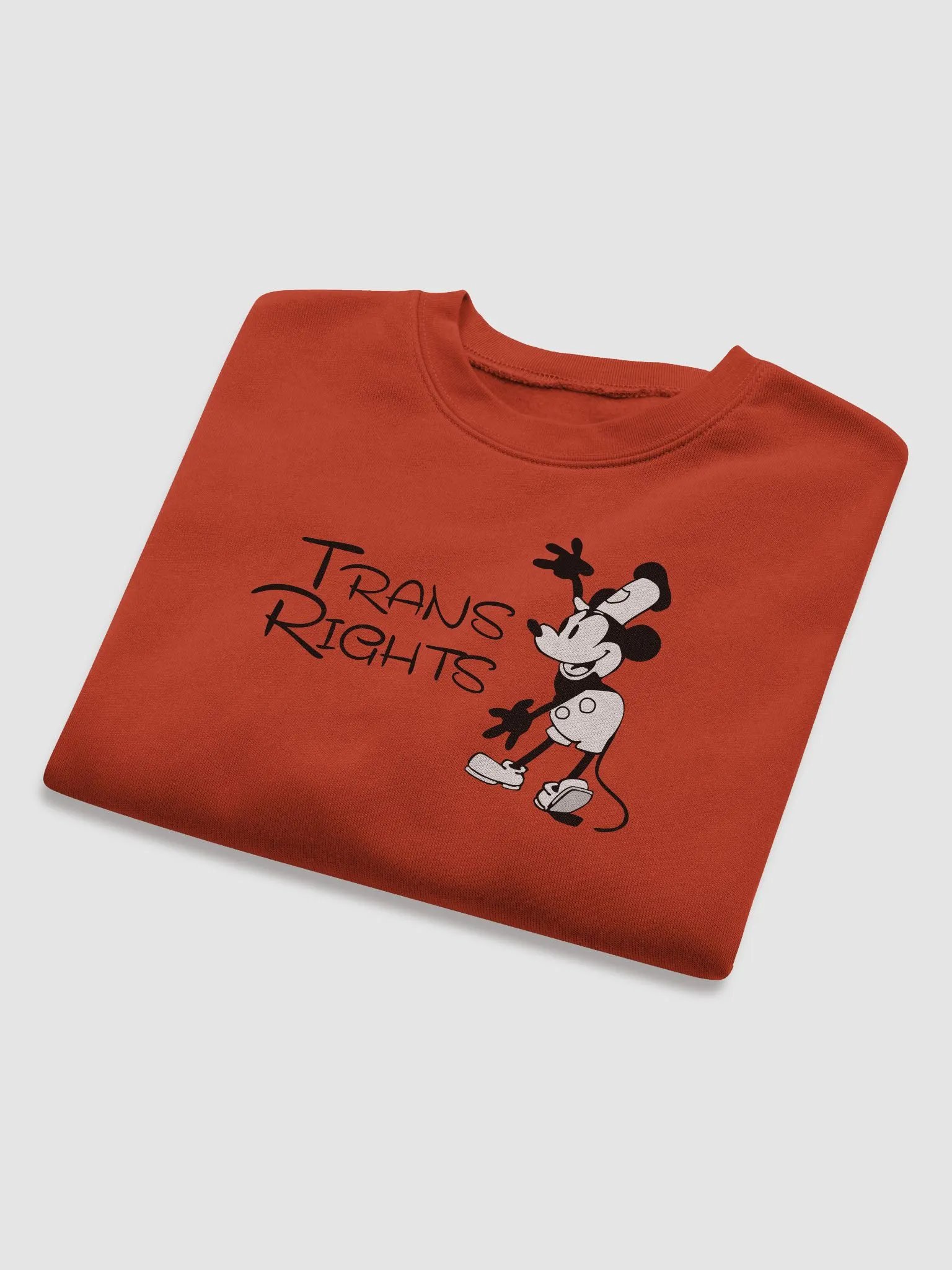 Steamboat Willie - Trans Rights Crop sweater product image (8)