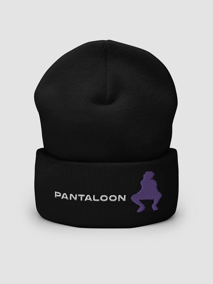 Pantaloon Beanie product image (1)