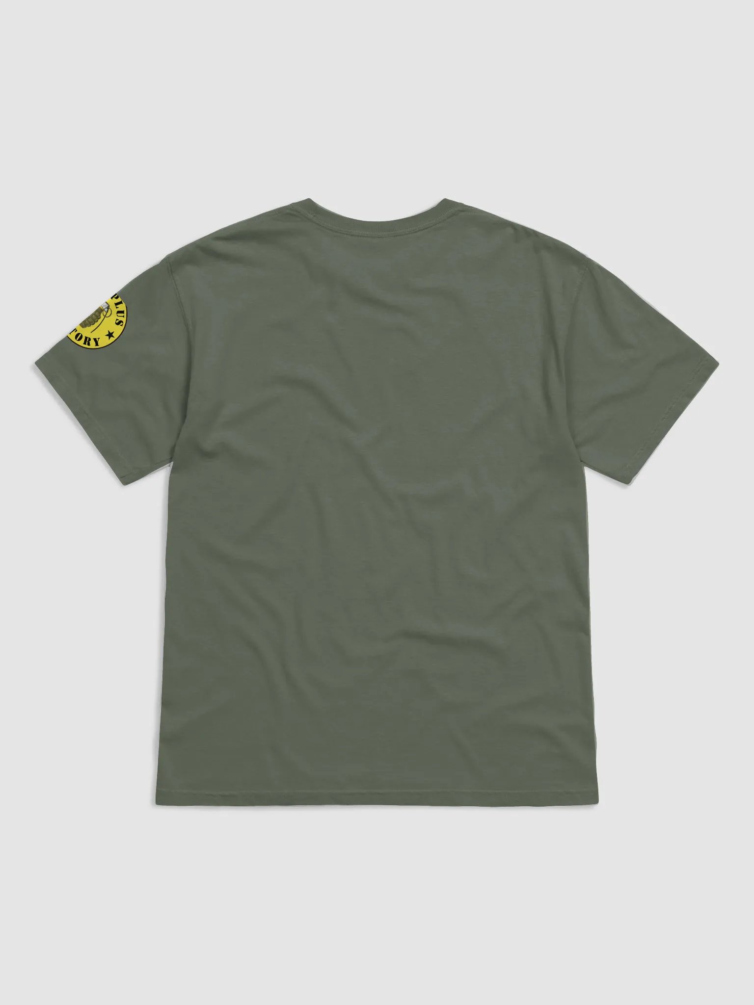Surplus History Tee – Standard Issue product image (2)