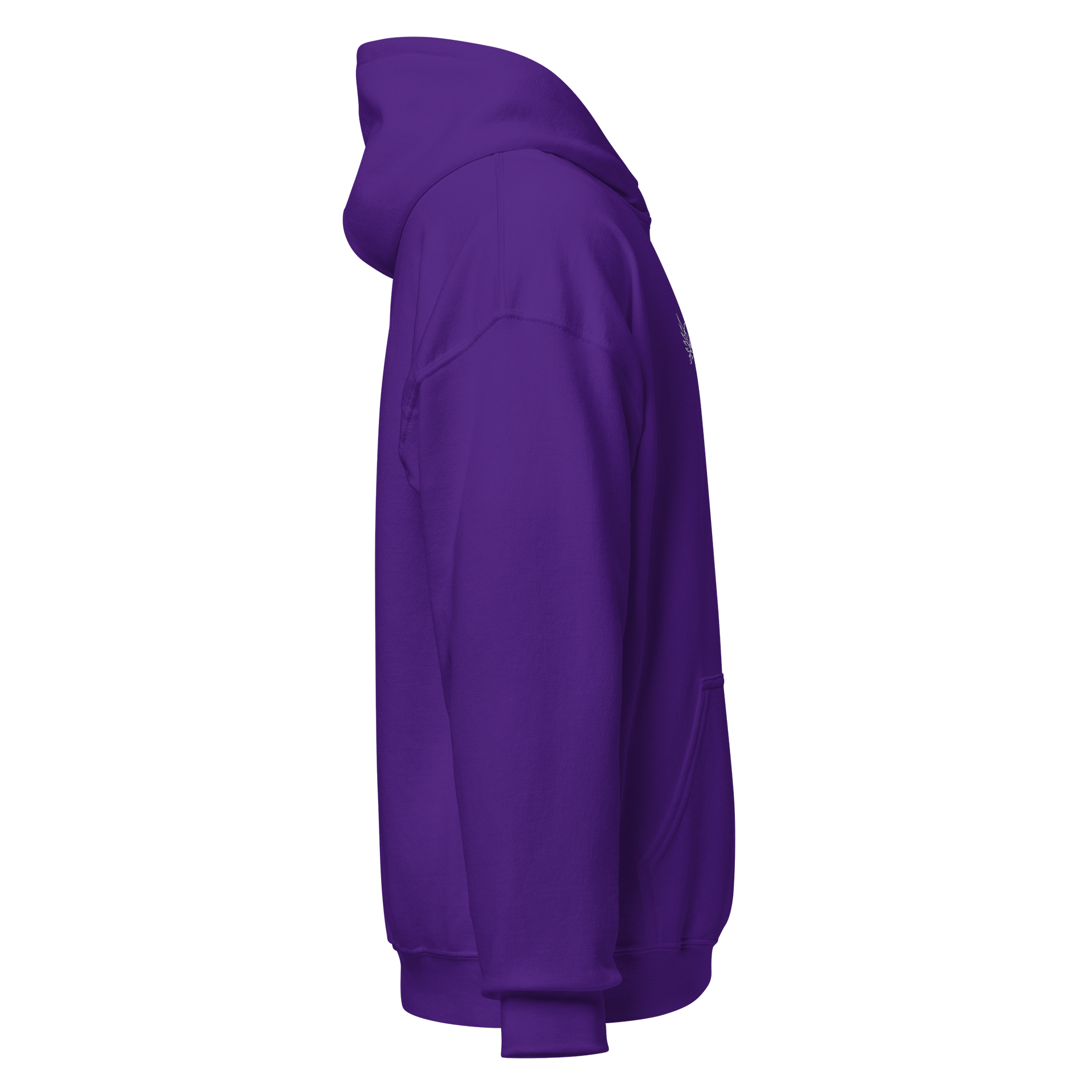 Saygrae Logo Hoodie product image (3)