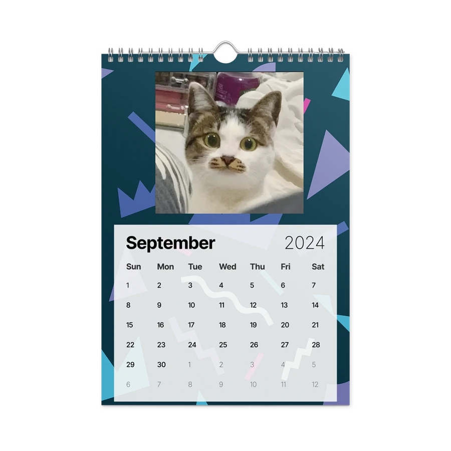 Wall Calendar (2024): Meme Cats product image (18)