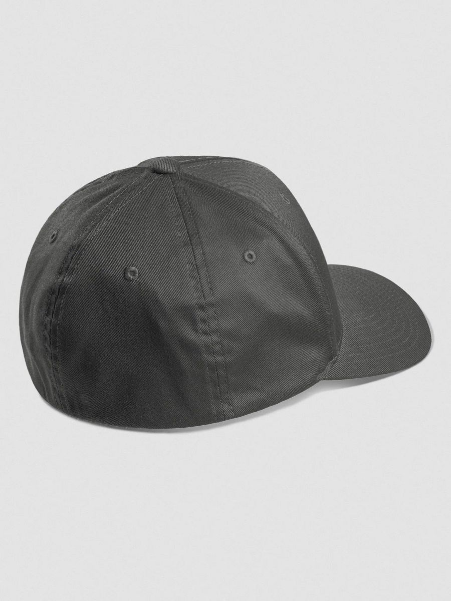 ACS - FlexFit Hat, Gray product image (3)