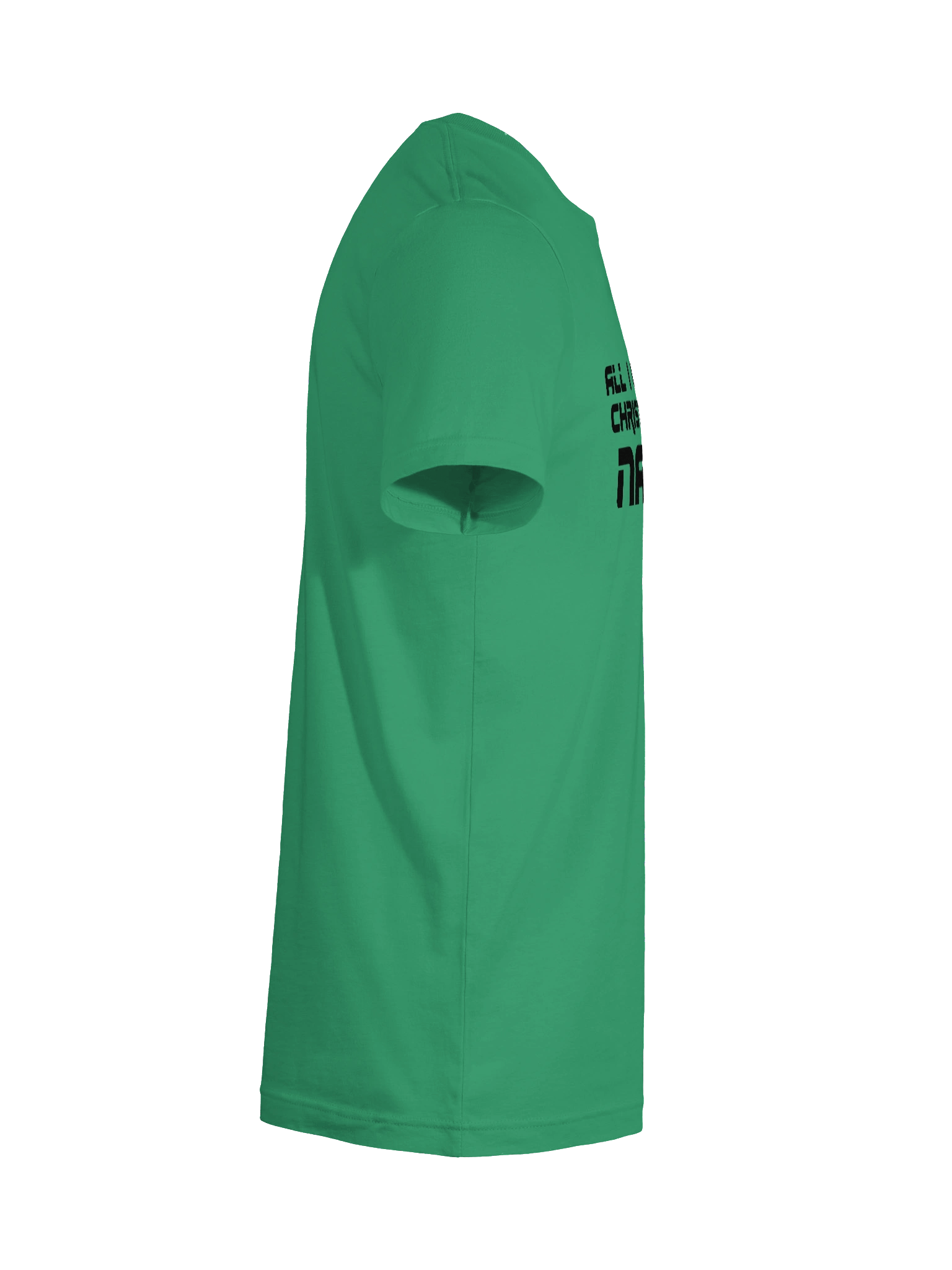 All I Want for Christmas Is a Nat 20 T-shirt product image (12)