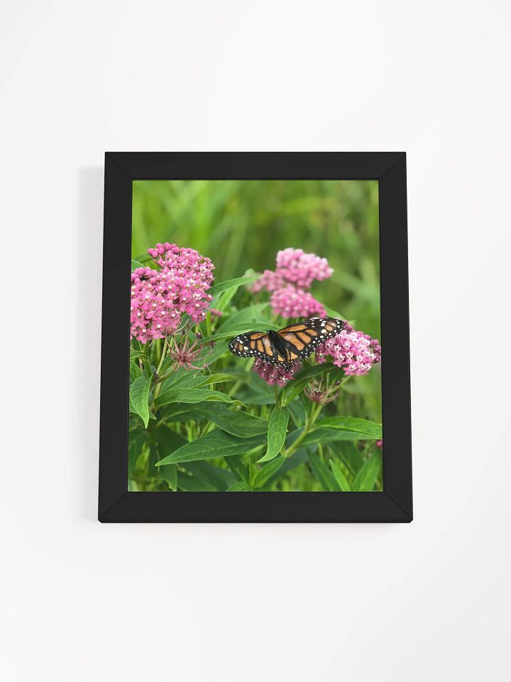 Monarch Butterfly version 2 High Quality Matte Poster product image (1)