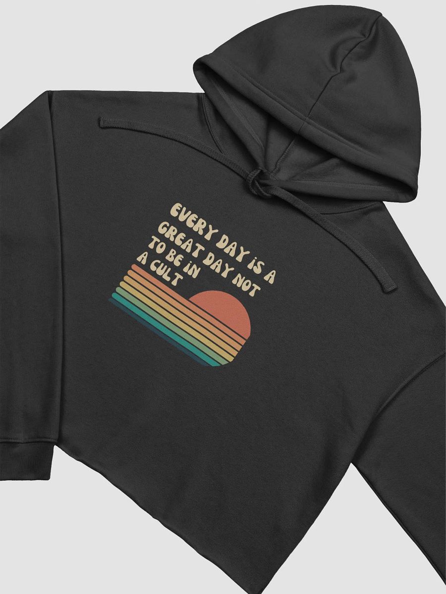 Retro Every Day! Bella Canvas Fleece Cropped Hoodie product image (3)