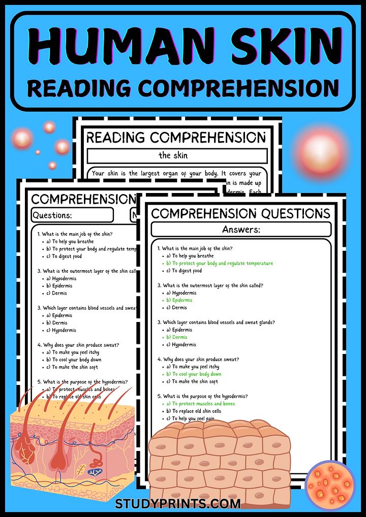 reading comprehension about the skin for grade 5 product image (1)