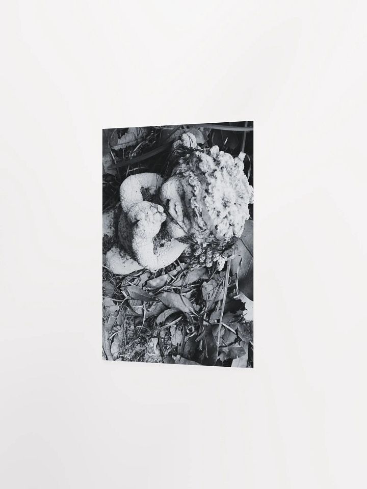 Angel of Decay product image (21)