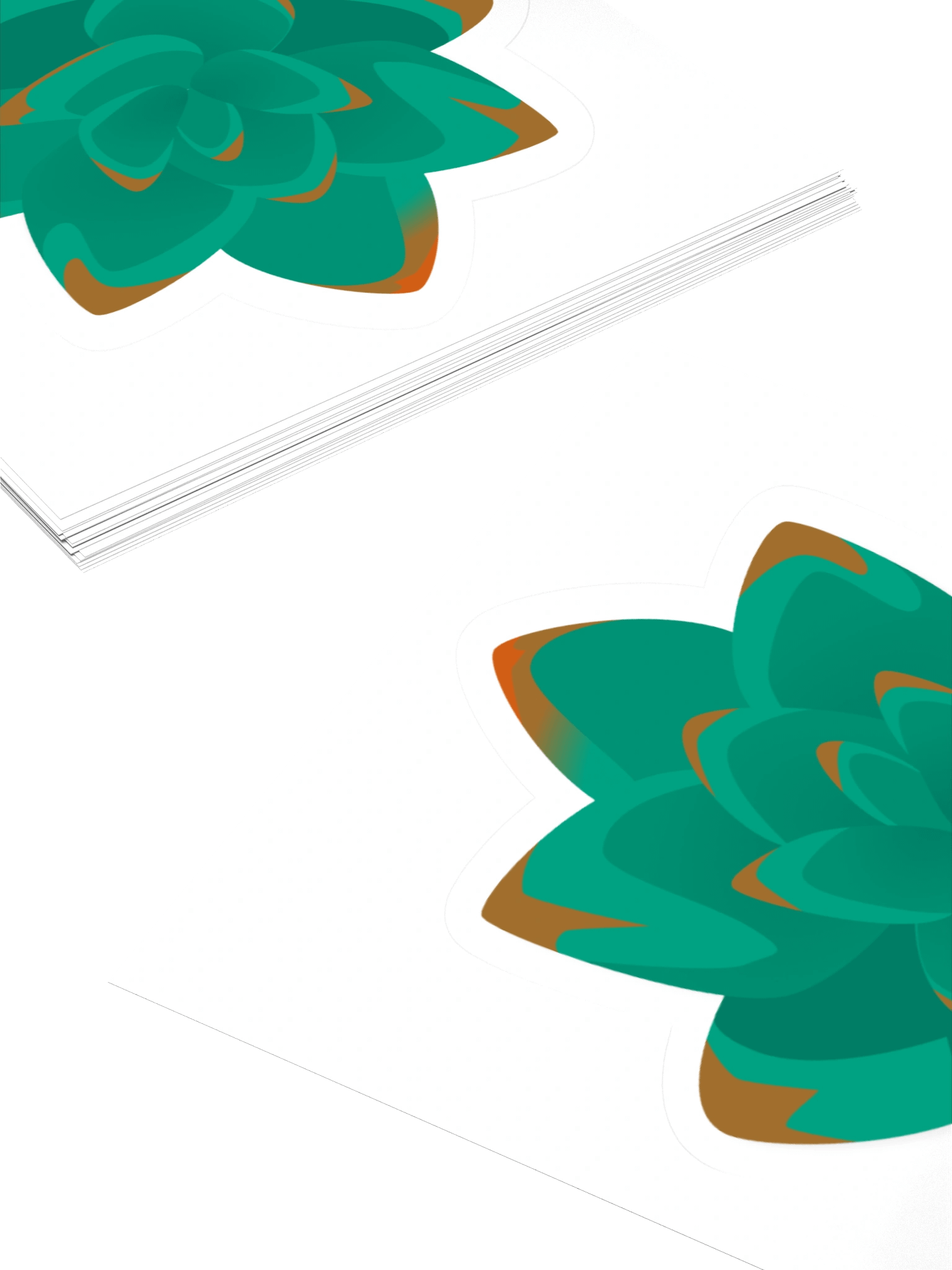 Echeveria product image (4)