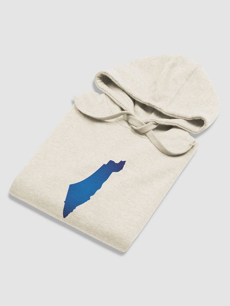 AM YISRAEL CHAI Premium Hoodie product image (4)