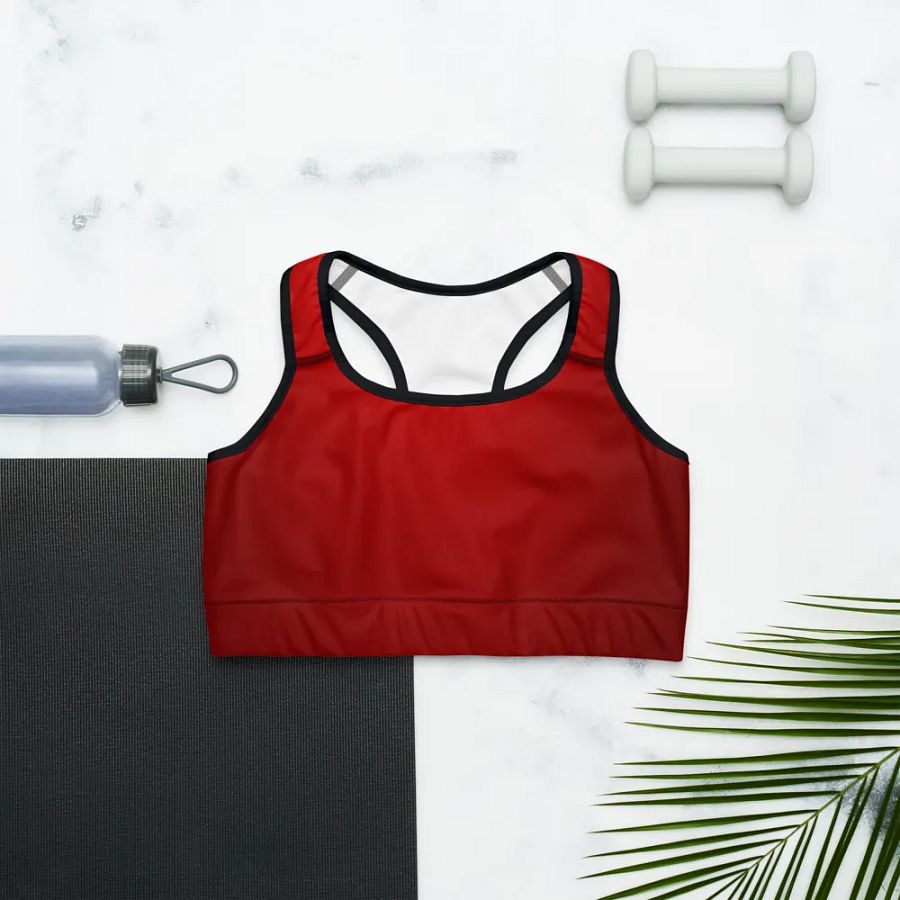 Red Gradient Power Sports Bra product image (12)