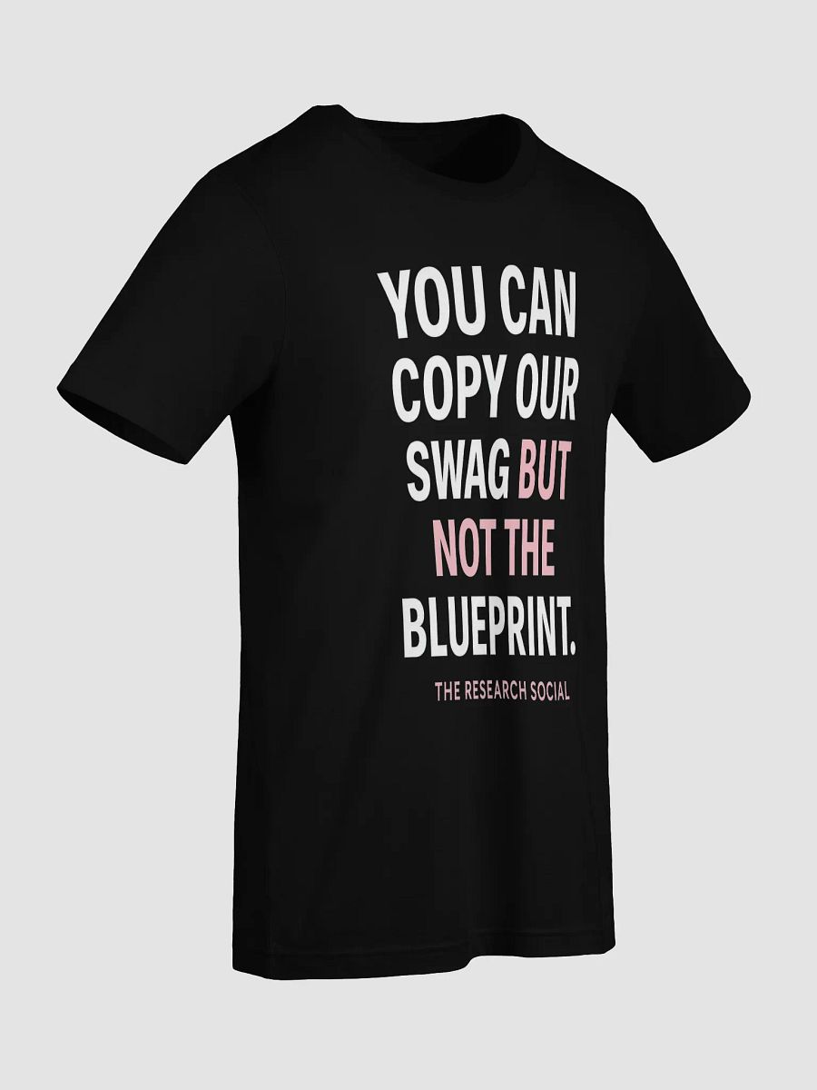Can’t Copy the Blueprint product image (9)