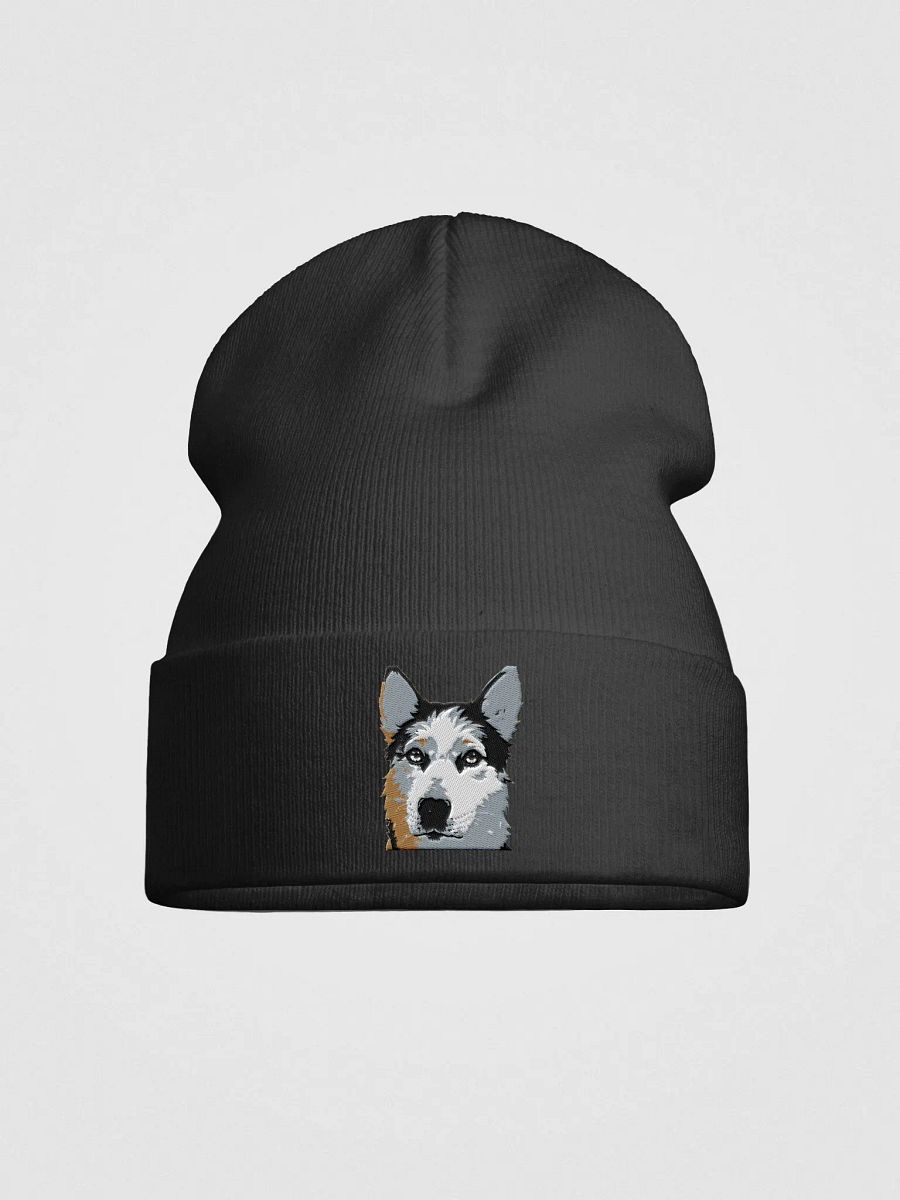 Luna Embroidered Otto Beanie product image (1)