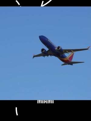 Boeing 737 taking off at Miami International Airport #planespotting #airplanespotting