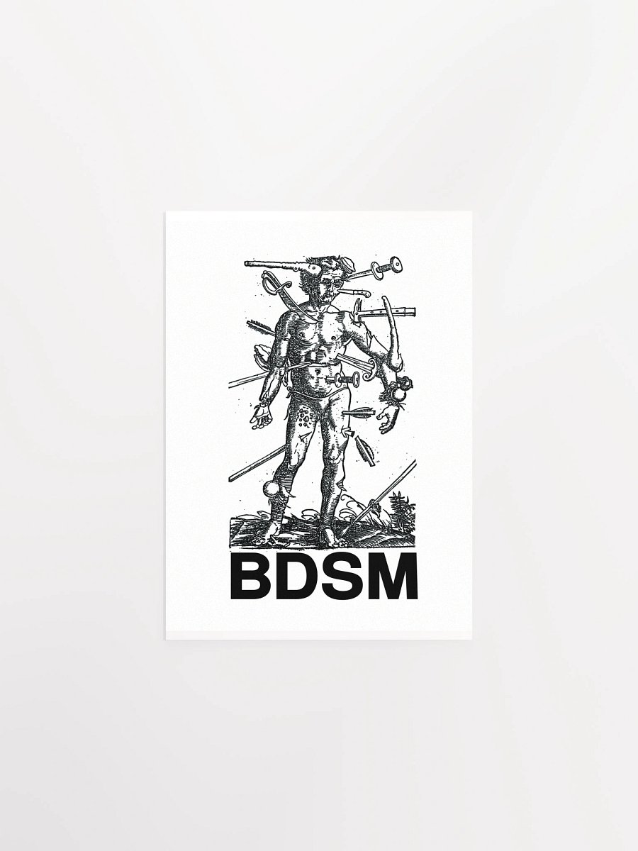 BDSM - Poster product image (4)