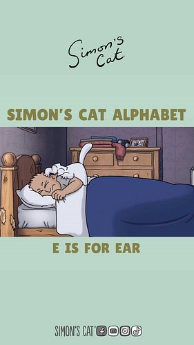 C is for CAT