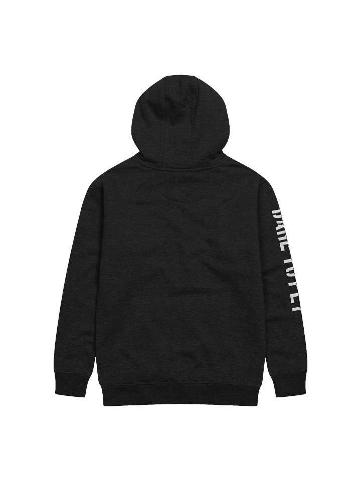 Haus Logo (Pullover) Hoodie product image (2)
