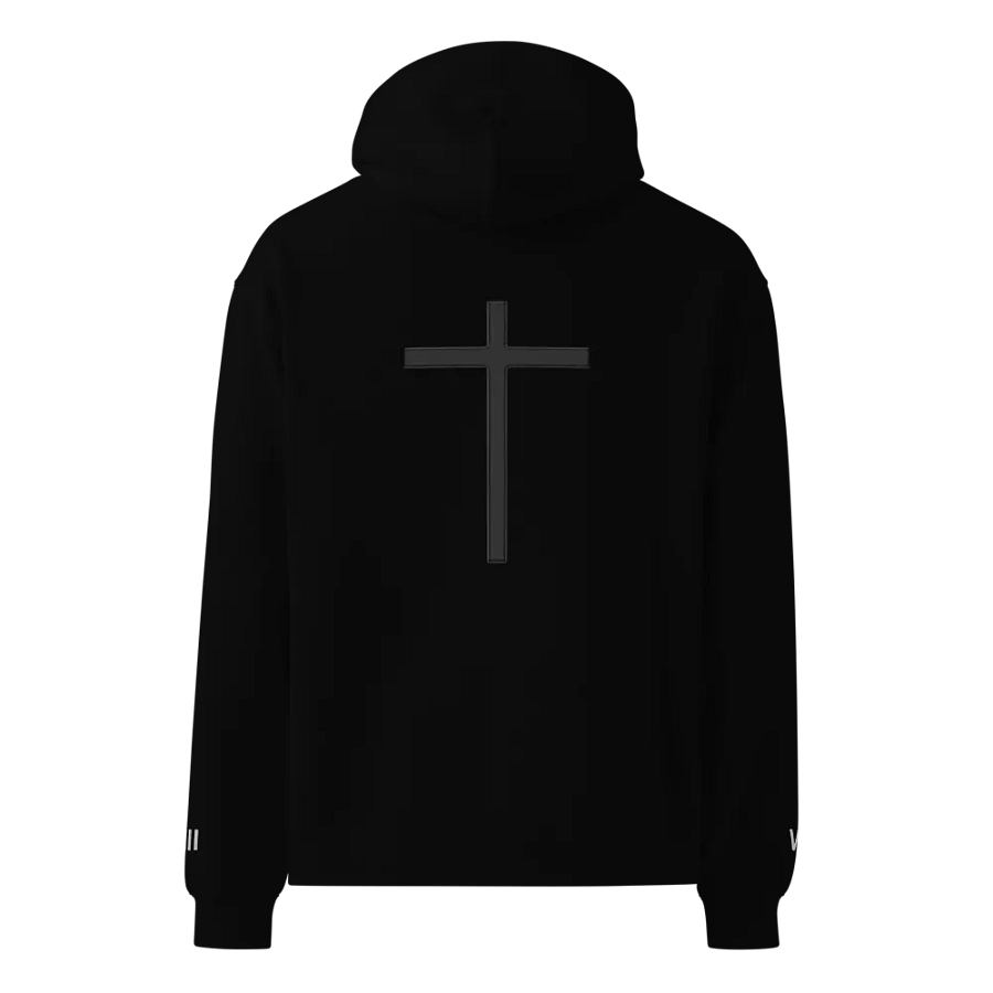 Romans 8:18 Hoodie product image (1)