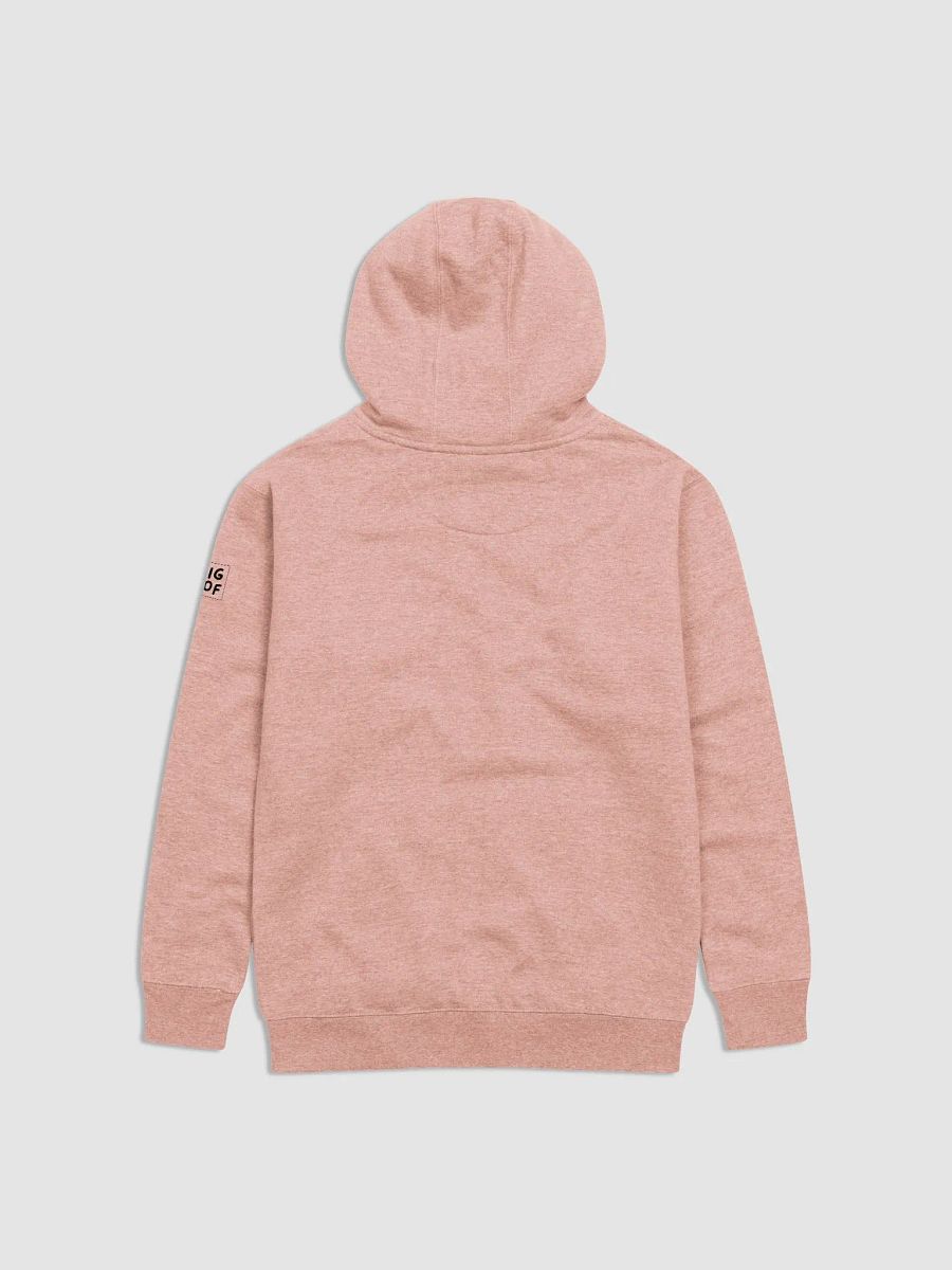 Four Hour Long Conspiracy - Hoodie product image (2)