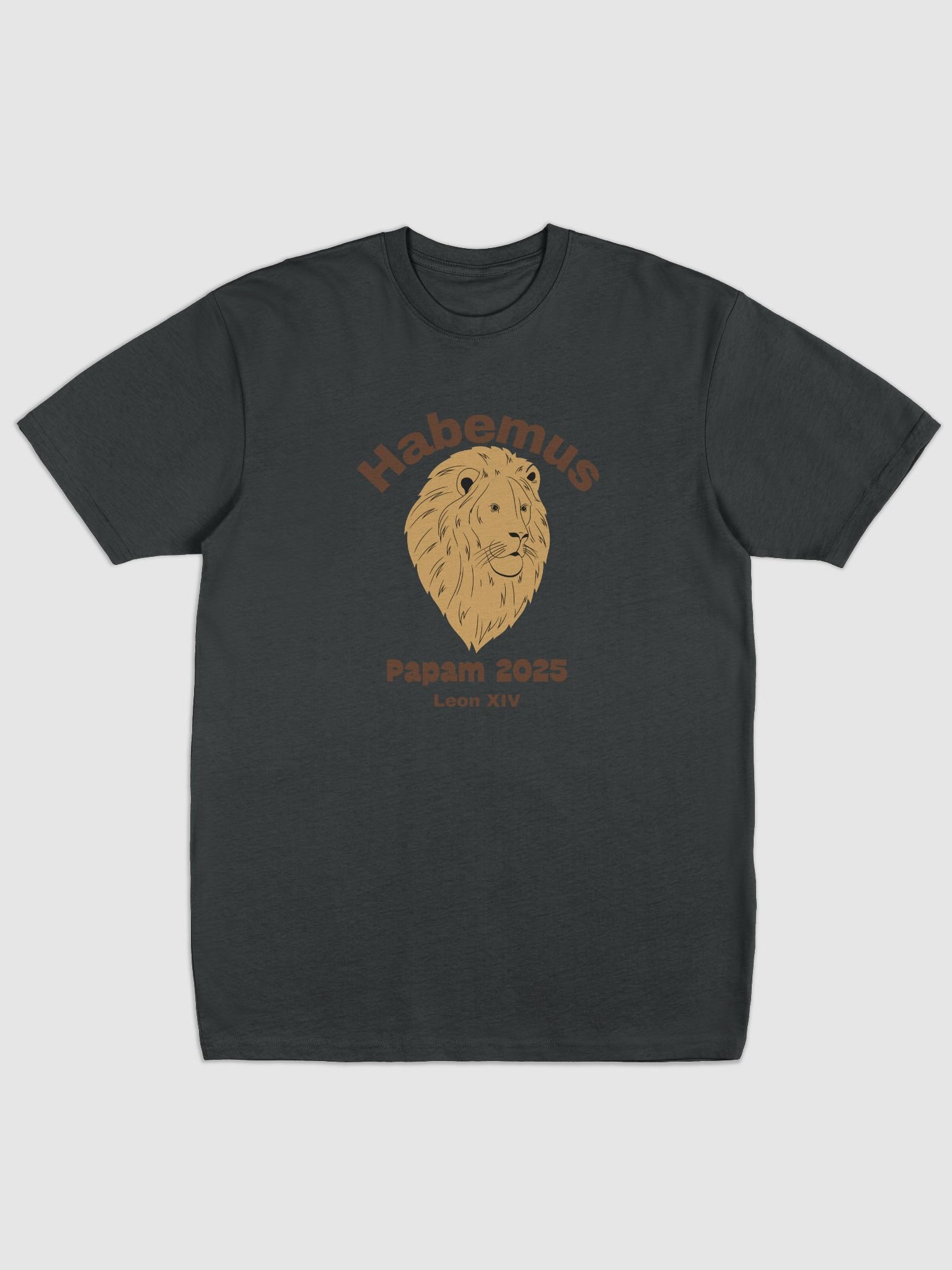 Habemus Papam 2025 Tee product image (3)