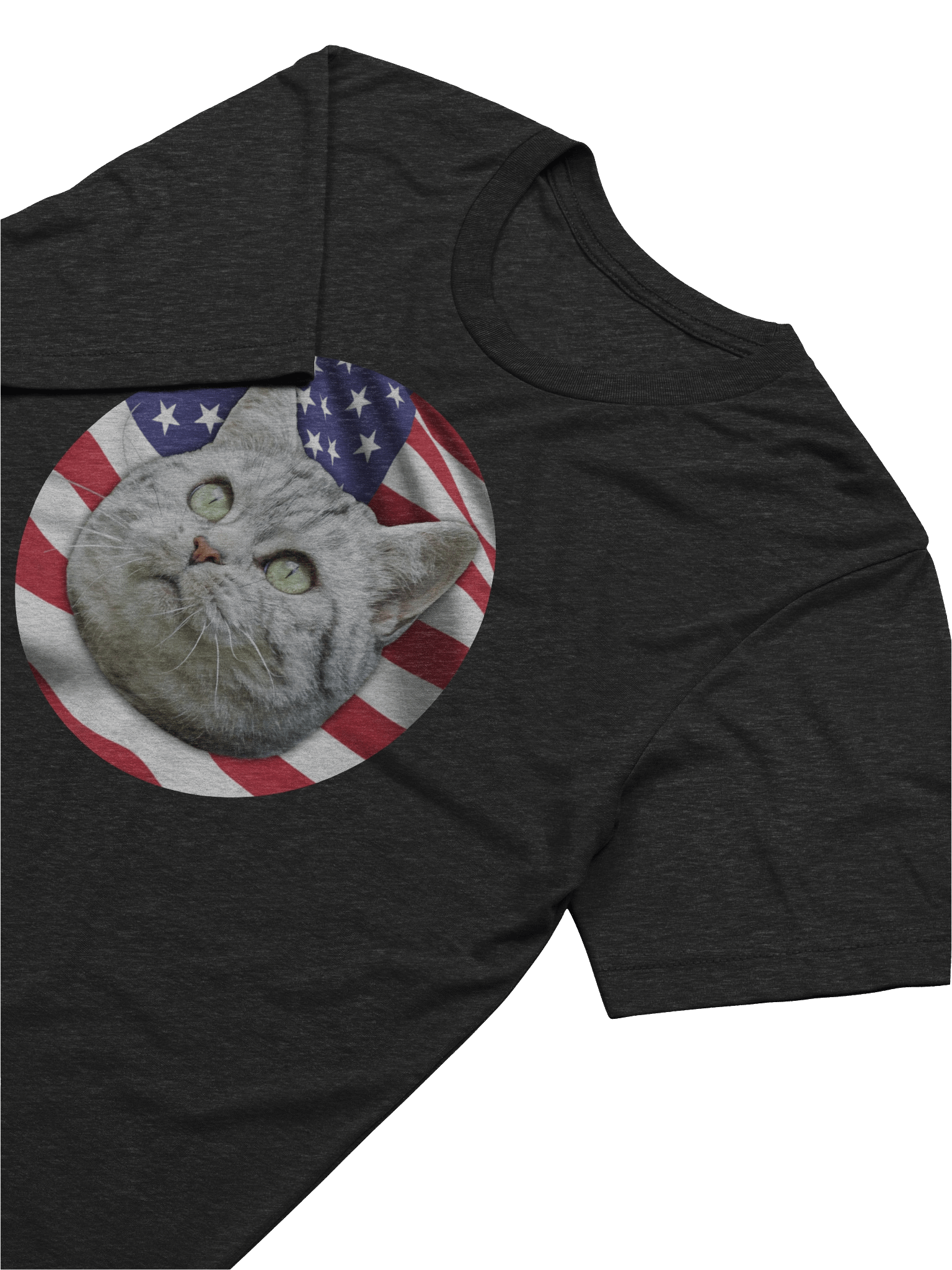 PATRIOTIC CAT LOGO (Triblend) product image (30)
