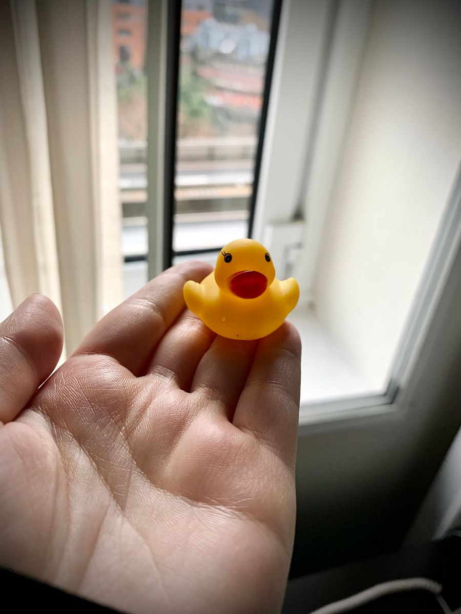 [EXCLUSIVE] Chipstarr Duck product image (5)