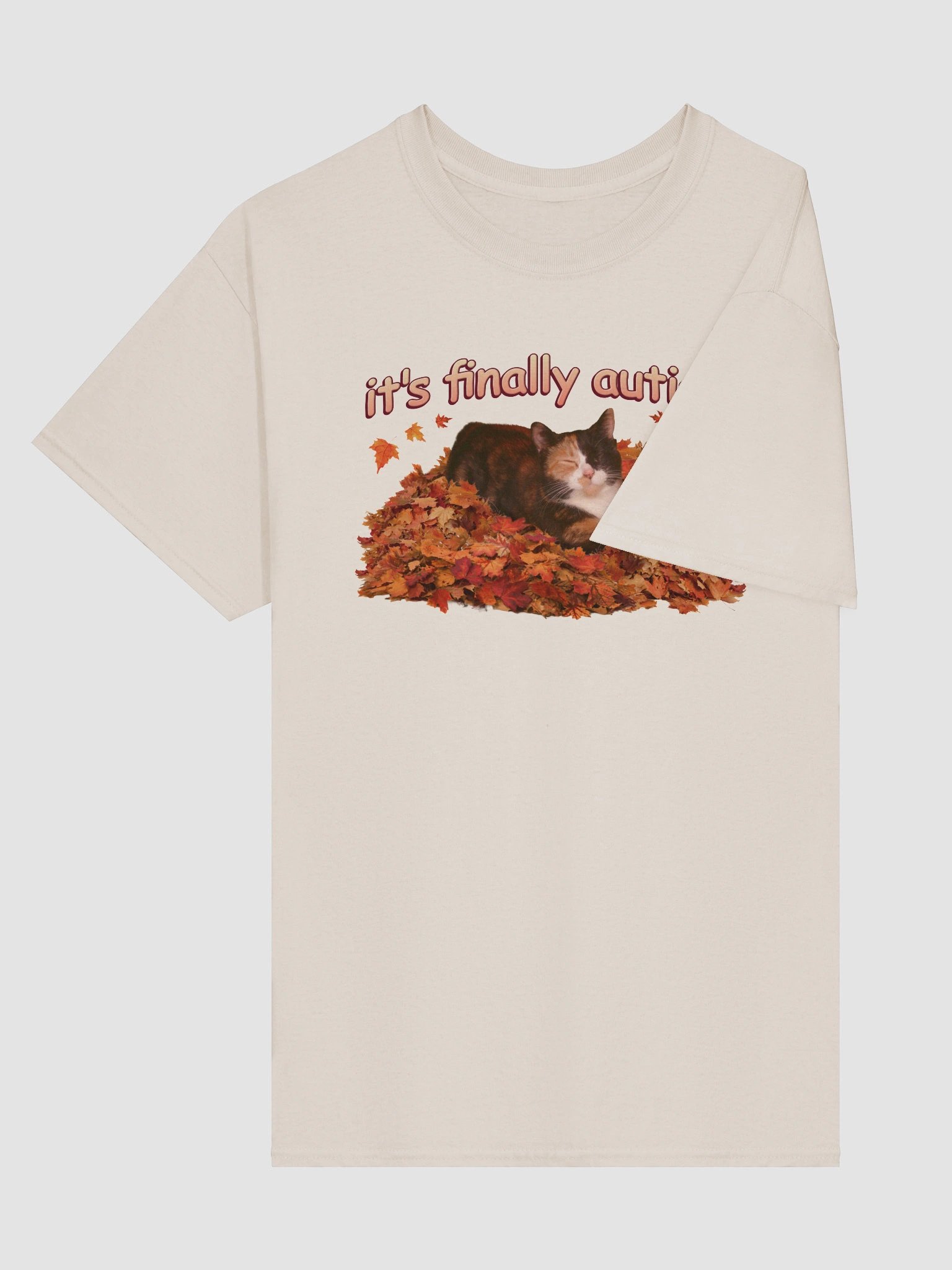 It's Finally Autism Autumn Cat T-shirt product image (4)