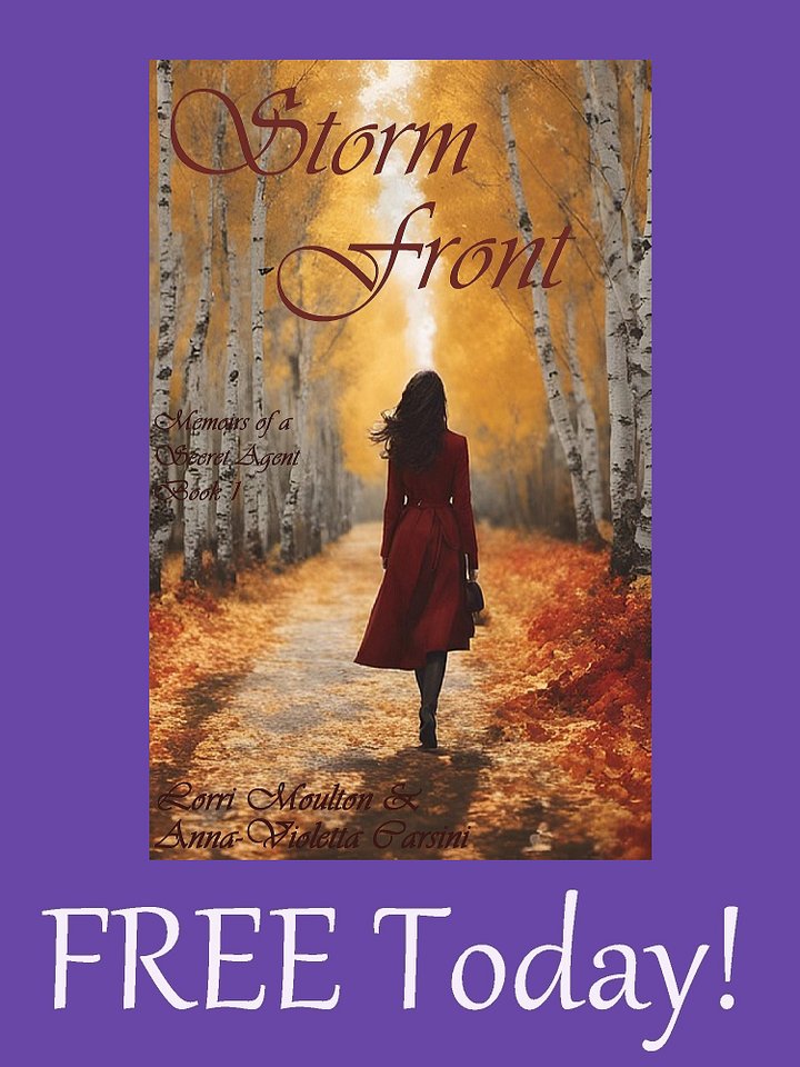 Storm Front: Memoirs of a Secret Agent Book 1 EBOOK - FREE Today! product image (1)