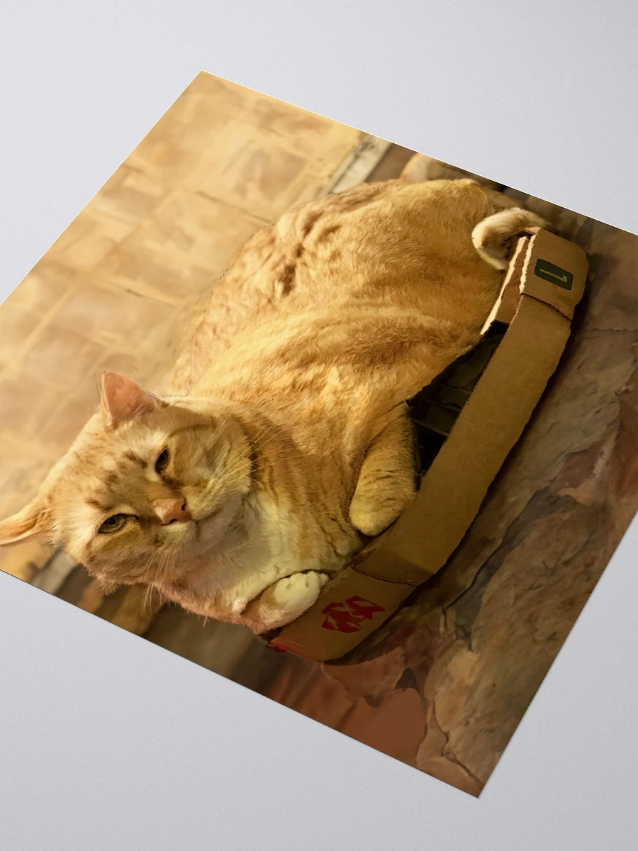 Can't keep Colby in a box sticker product image (3)