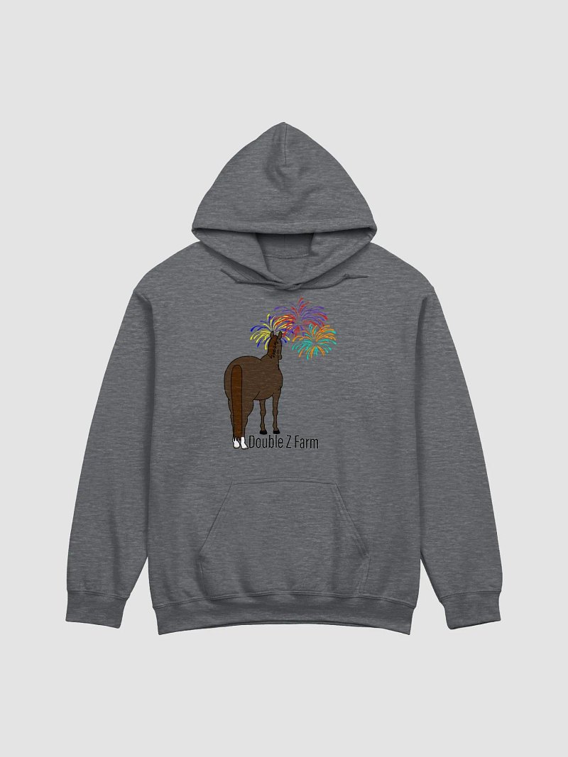 Fireworks Hoodie