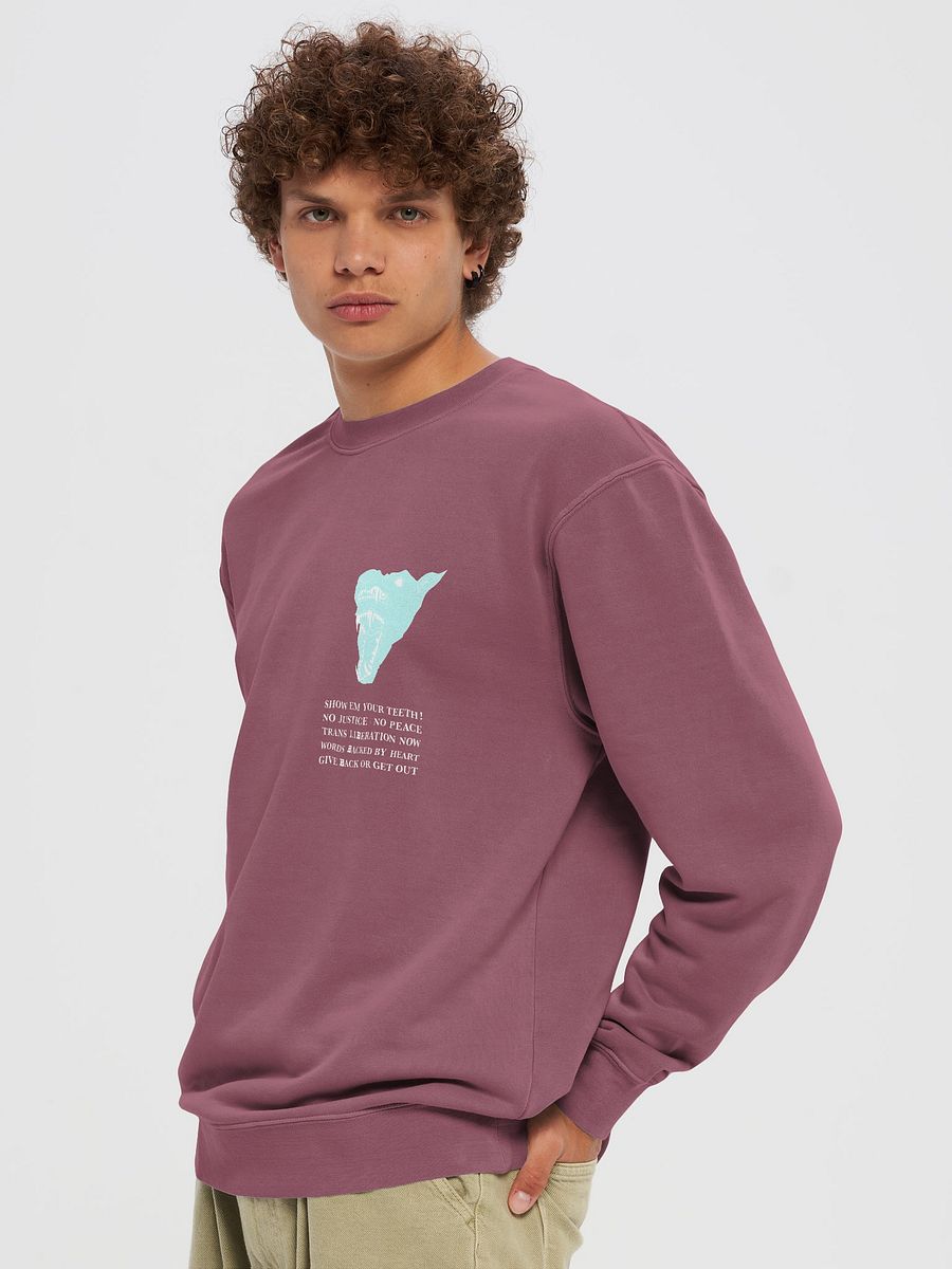 Show Em crewneck 2 product image (5)