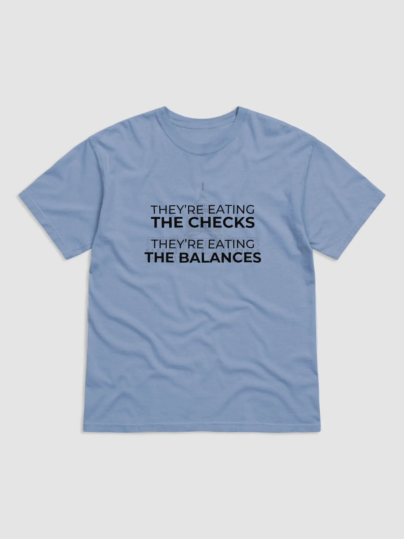 Checks & Balances Tee. product image (1)