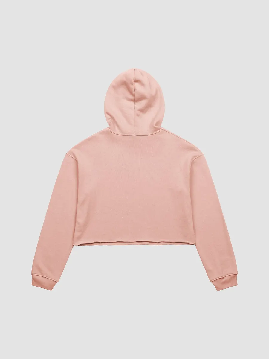 Crop Hoodie - POLO product image (2)