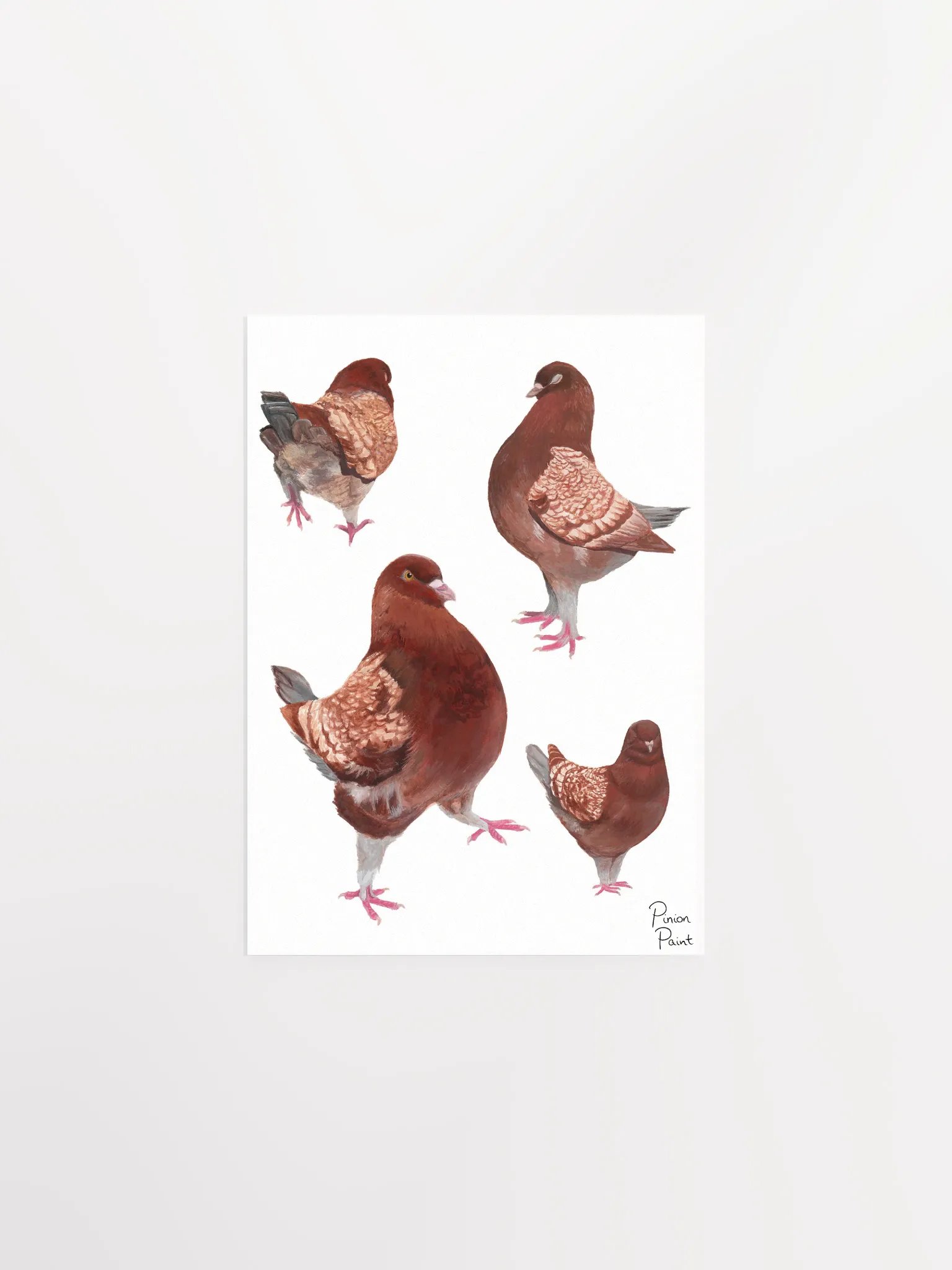 Merlot pigeon print product image (1)