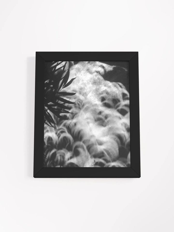 Crescents of Light from the Eclipse - Print 2 - Framed Poster product image (1)