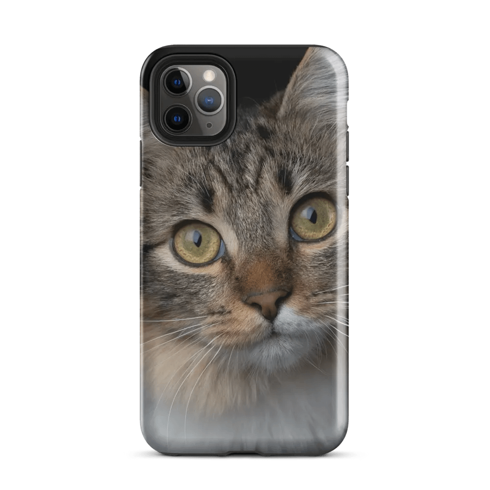 Curious Cat Phone Case - Eye-Catching Protection product image (34)