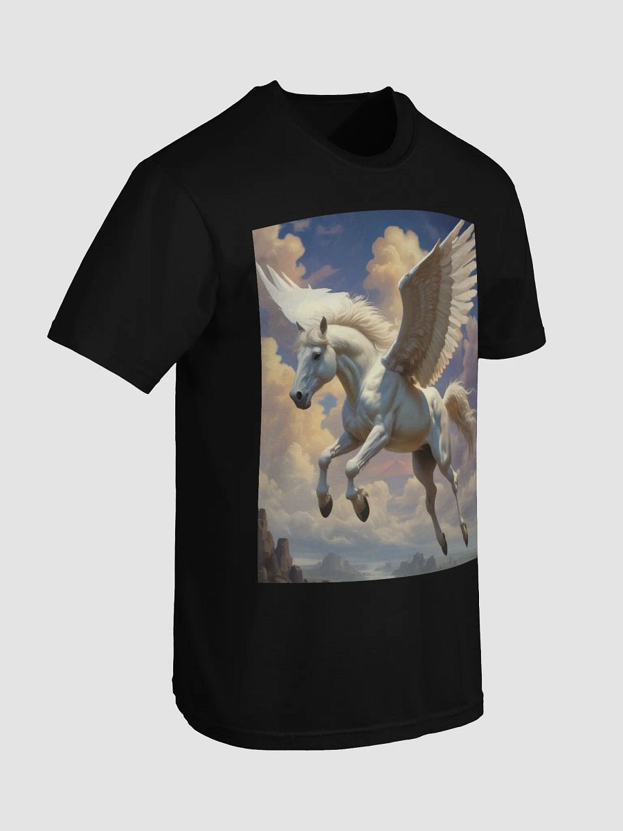 Pegasus product image (47)