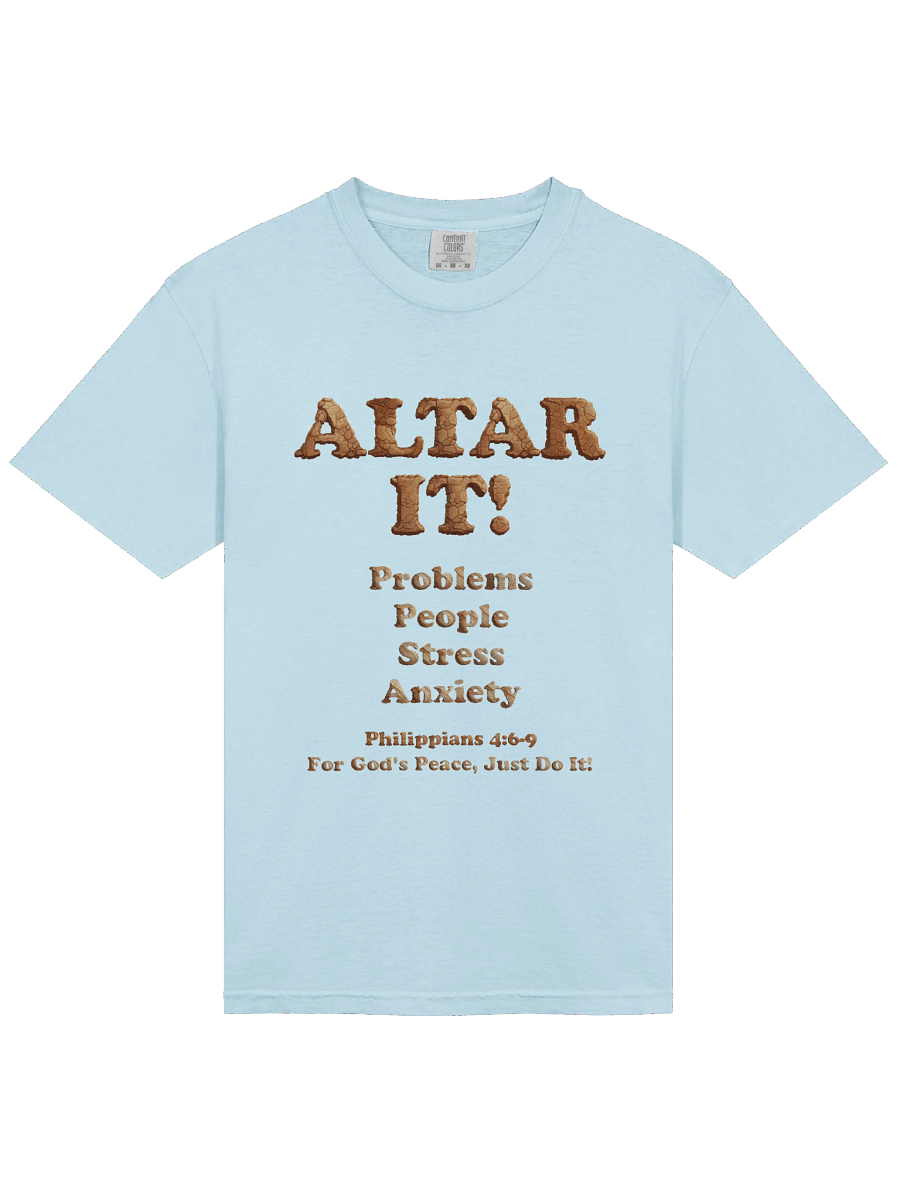 Altar It Relaxed Fit heavyweight T-Shirt product image (40)