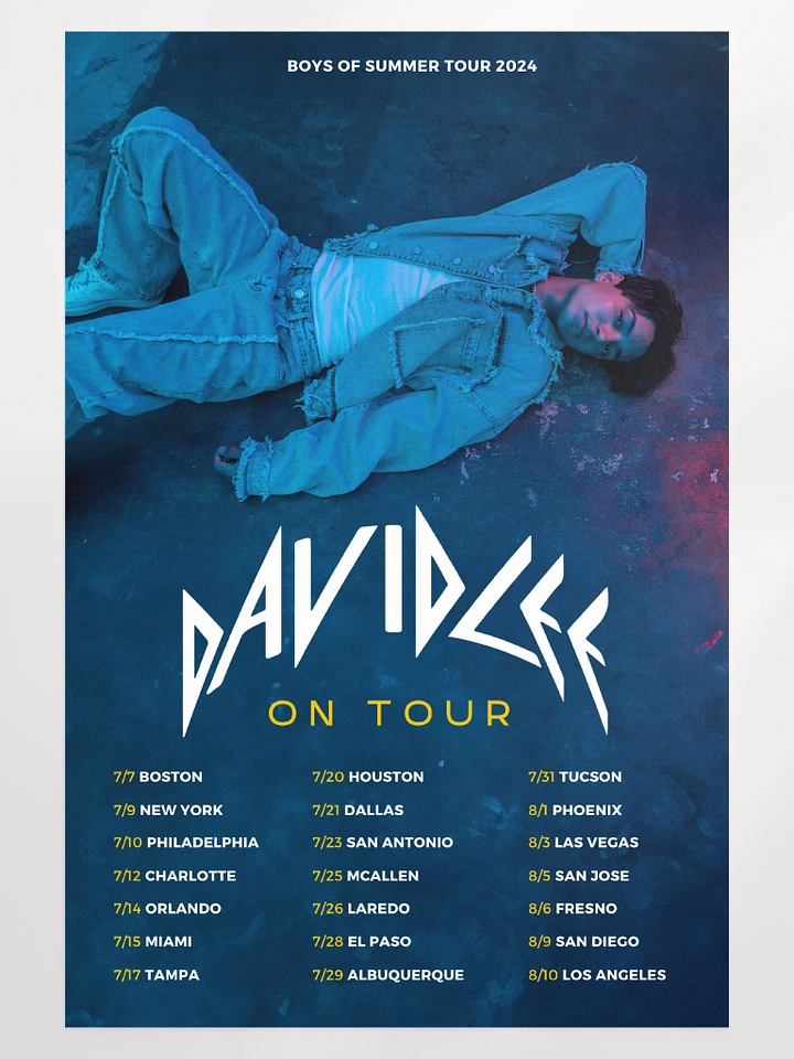 David Lee (On Tour 2024) Poster product image (1)